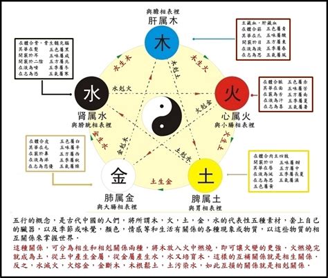 剋金|五行相生相剋3大重點｜了解五行，改善生活大小